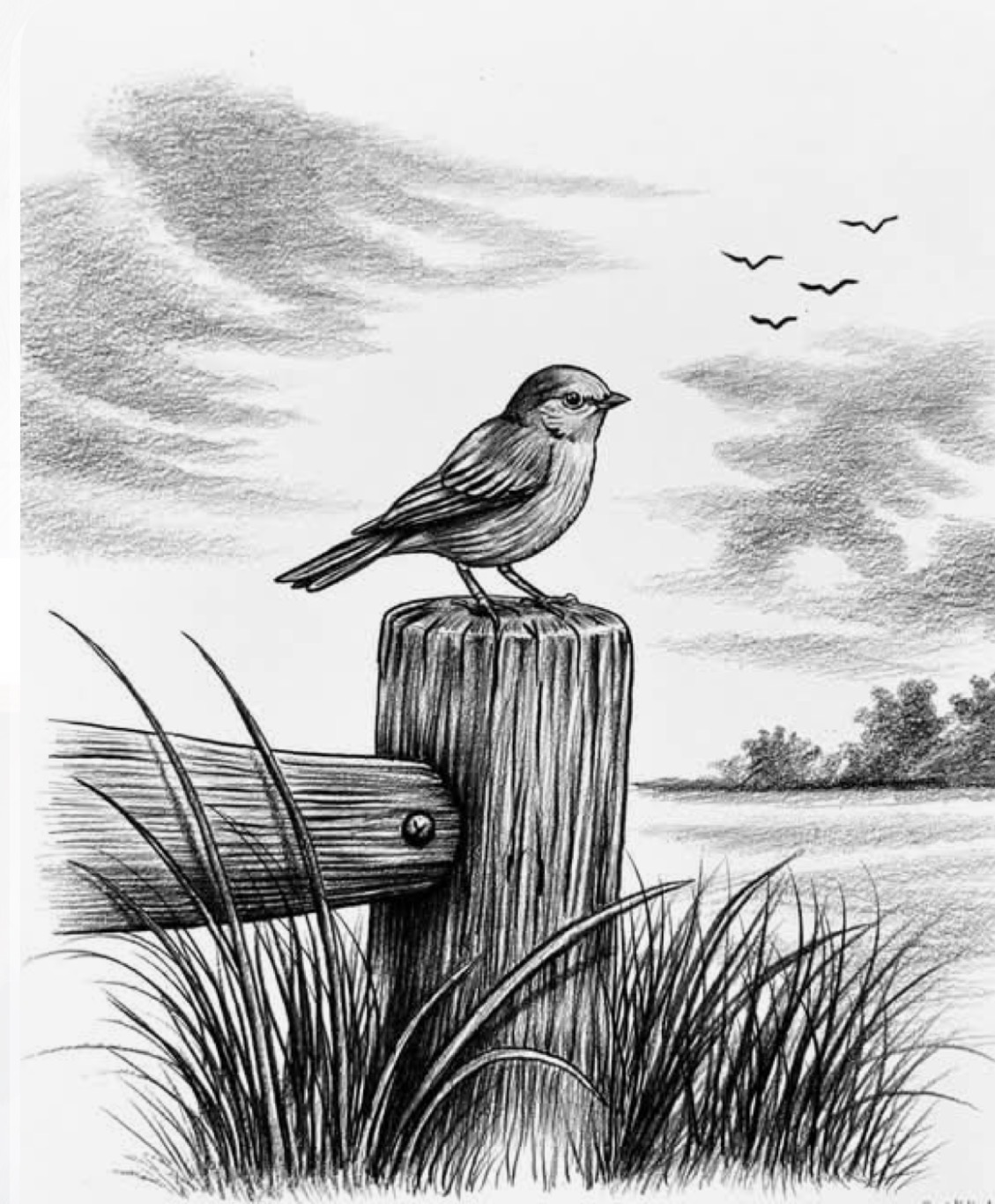 Online Pencil shading Class